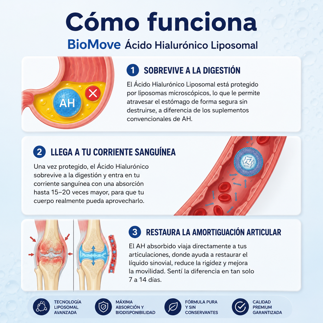 BioMove – Recuperá tus articulaciones, movete como antes. (Copia)